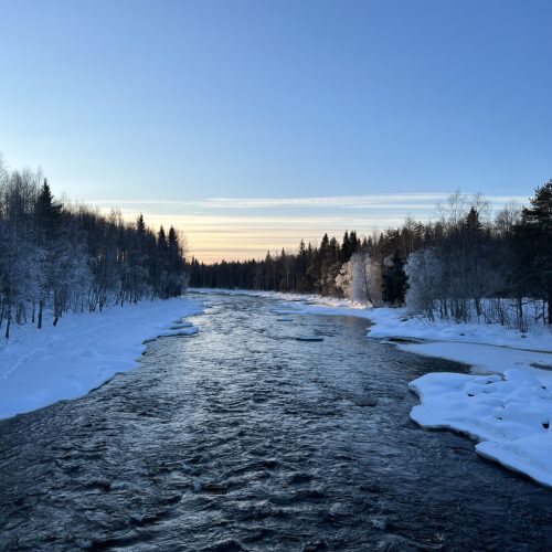 Hiking_vikakongas_rovaniemi