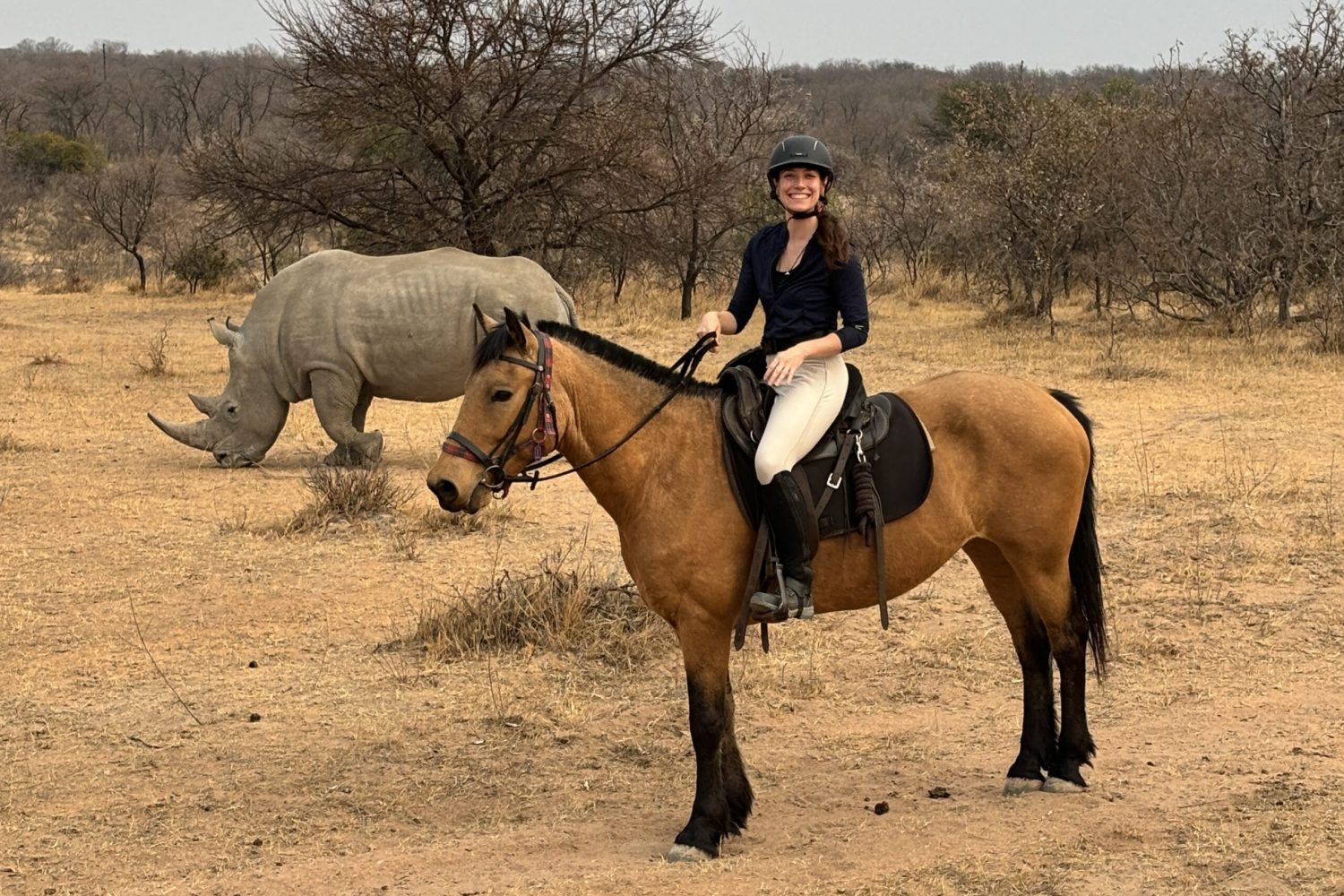 Horse_riding_africa_rhino 2