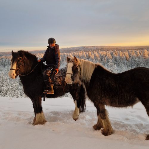 Horse_riding_lapland