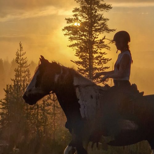 Horse_riding_midnight_sun_lapland