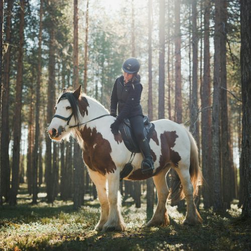 Horse_riding_summer_lapland