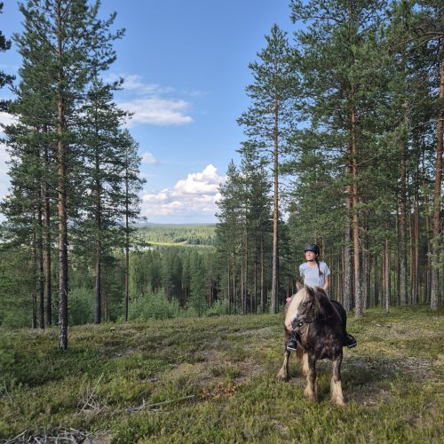 Horse_riding_summer_lapland