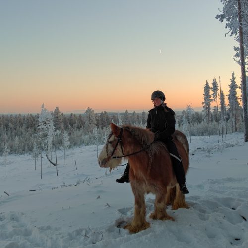 Horse_riding_winter_wonderland_irish_cobs_lapland