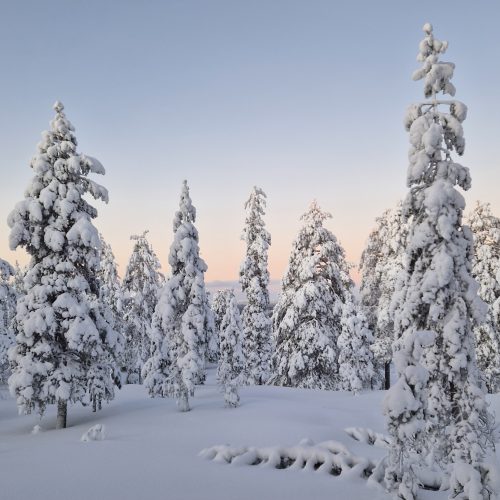 Ounasvaara_winter_wonderland