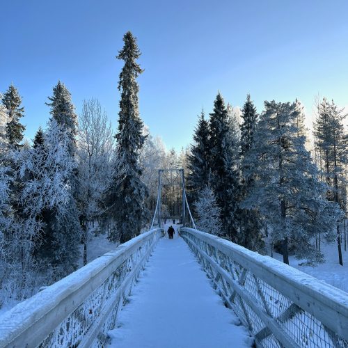 Vikakongas_rovaniemi_hiking