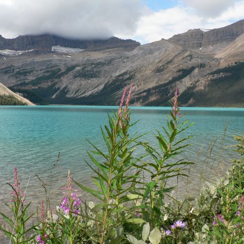 canada-banff-national-park-bow-lake