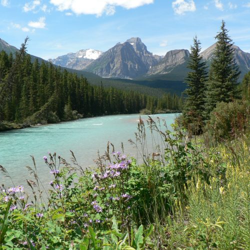 canada-banff-national-park-bow-river-mountains