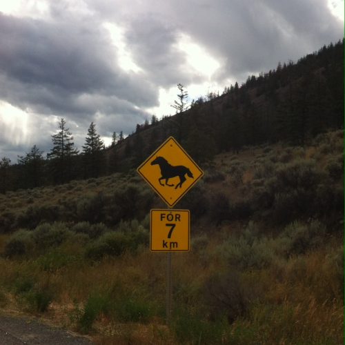 canada-road-trip-road-sign-horses-crossing