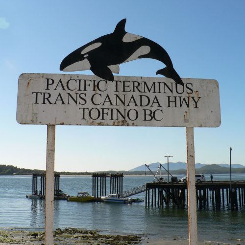 canada-vancouver-island-tofino-killer-whale