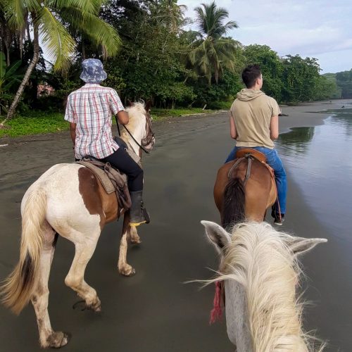 costa-rica-cahuita-horse-riding-playa-negra