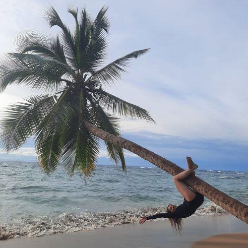 costa-rica-manzanillo-punta-uva-palm-tree
