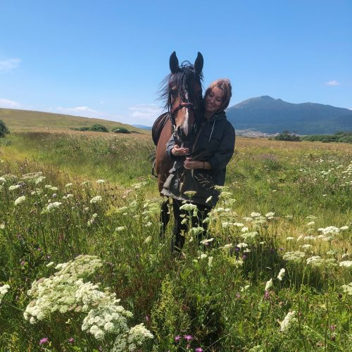 horse-love-flowers-bosnia-and-herzegovina