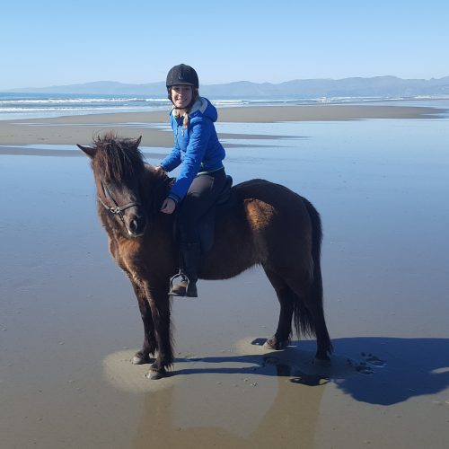 icelandic-horses-new-zealand-beach