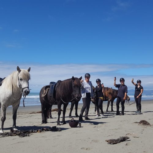 icelandic-horses-new-zealand-break-on-the-beach
