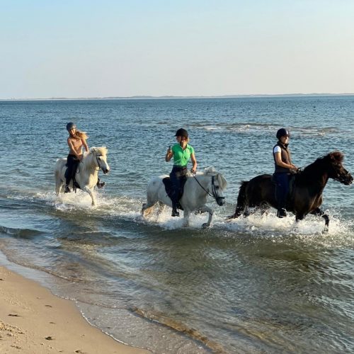 kommandoergaarden-riding-in-the-sea-denmark-summer