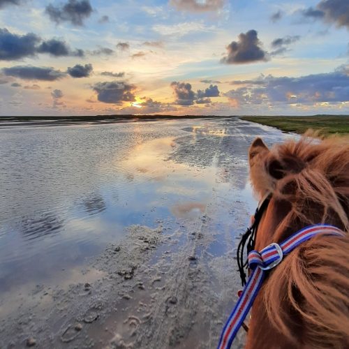 kommandoergaarden-sunset-on-horseback-denmark