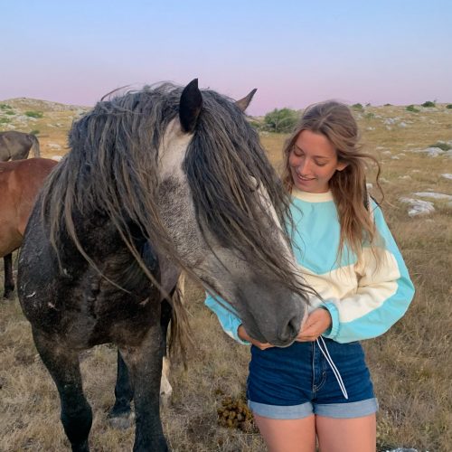 livno-wild-horses-friendly