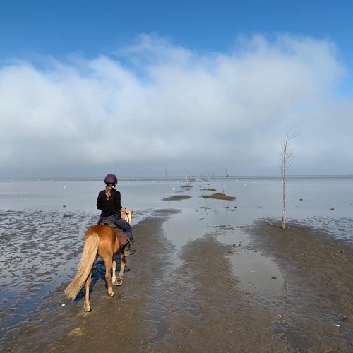 mando-crossing-the-sea-on-horseback