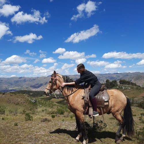 peru-cuzco-horse-riding-fuego-paso-horse