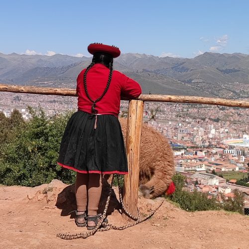peru-cuzco-view-lama