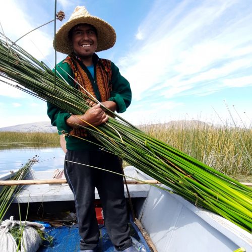 peru-lake-titikaka-uros-island-collecting-reeds