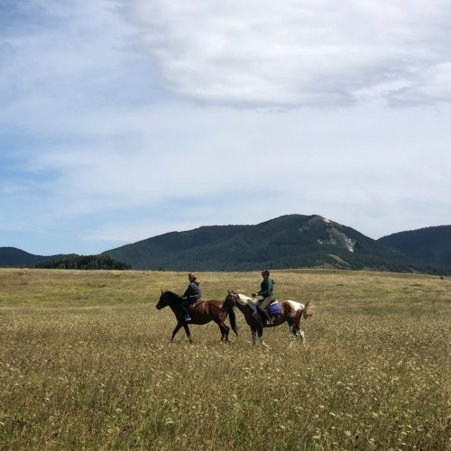 riding-mountains-horses-bosnia-and-herzegovina