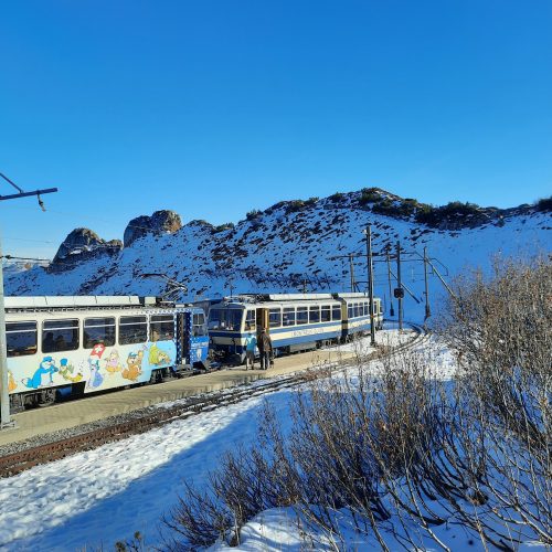 rochers-de-naye-train