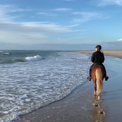 romo-riding-on-the-beach-denmark