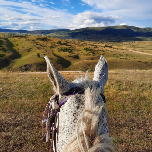 view-through-horse-ears-kupres