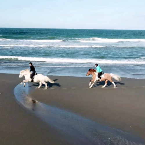 Horses galloping Pacific Ocean